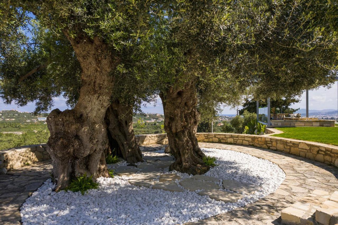 Olivenest Chania Executive Villa Perivólia Екстериор снимка